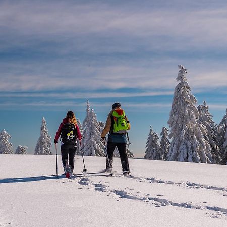 Schwarzwaldhorst Fewo 2 - Mit 4 Schlafzimmer - Todtnau, Liftverbund Feldberg Екстериор снимка