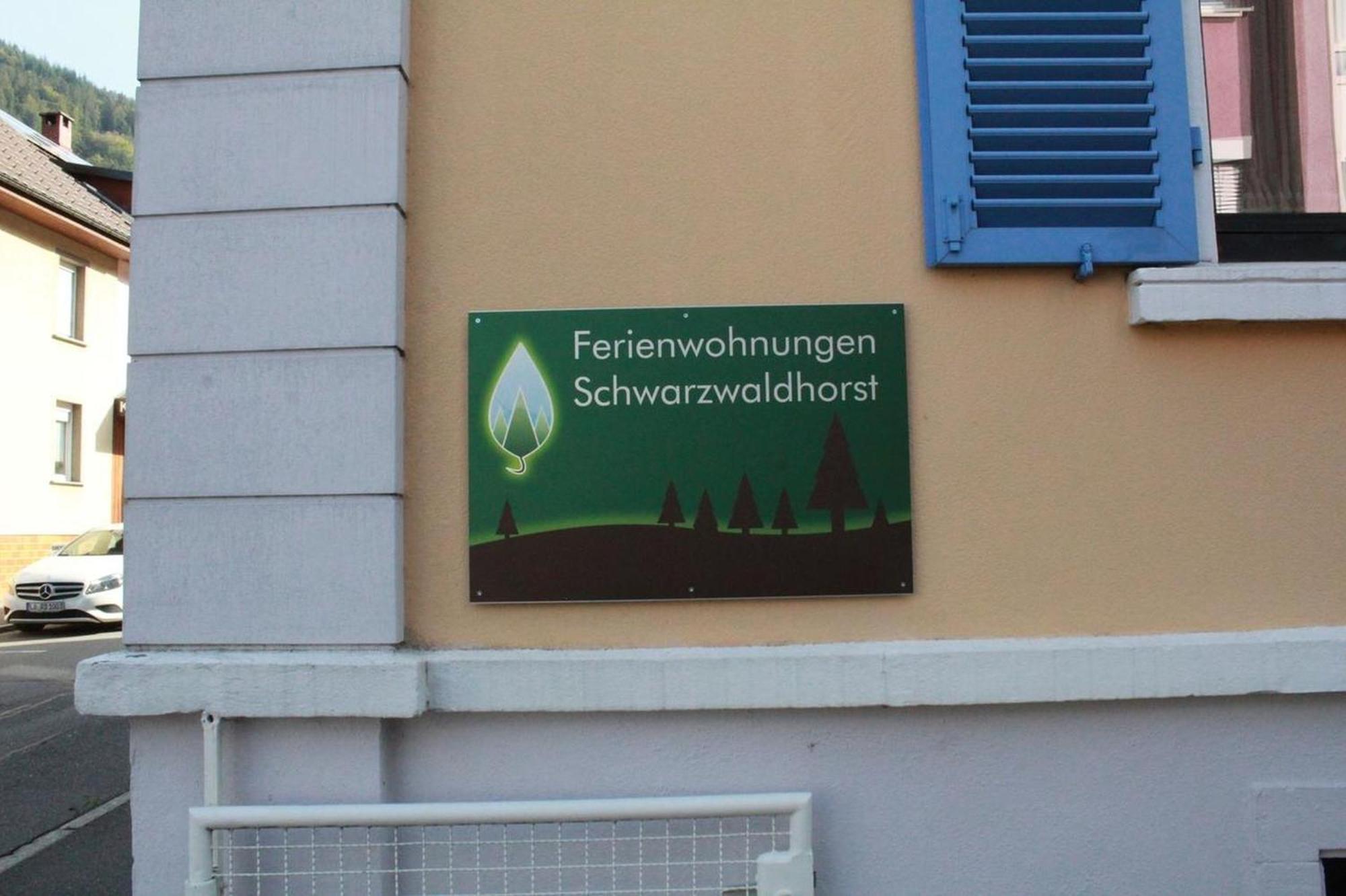 Schwarzwaldhorst Fewo 2 - Mit 4 Schlafzimmer - Todtnau, Liftverbund Feldberg Екстериор снимка