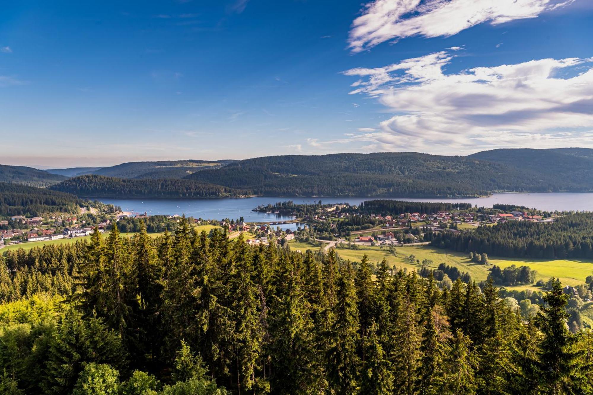 Schwarzwaldhorst Fewo 2 - Mit 4 Schlafzimmer - Todtnau, Liftverbund Feldberg Екстериор снимка
