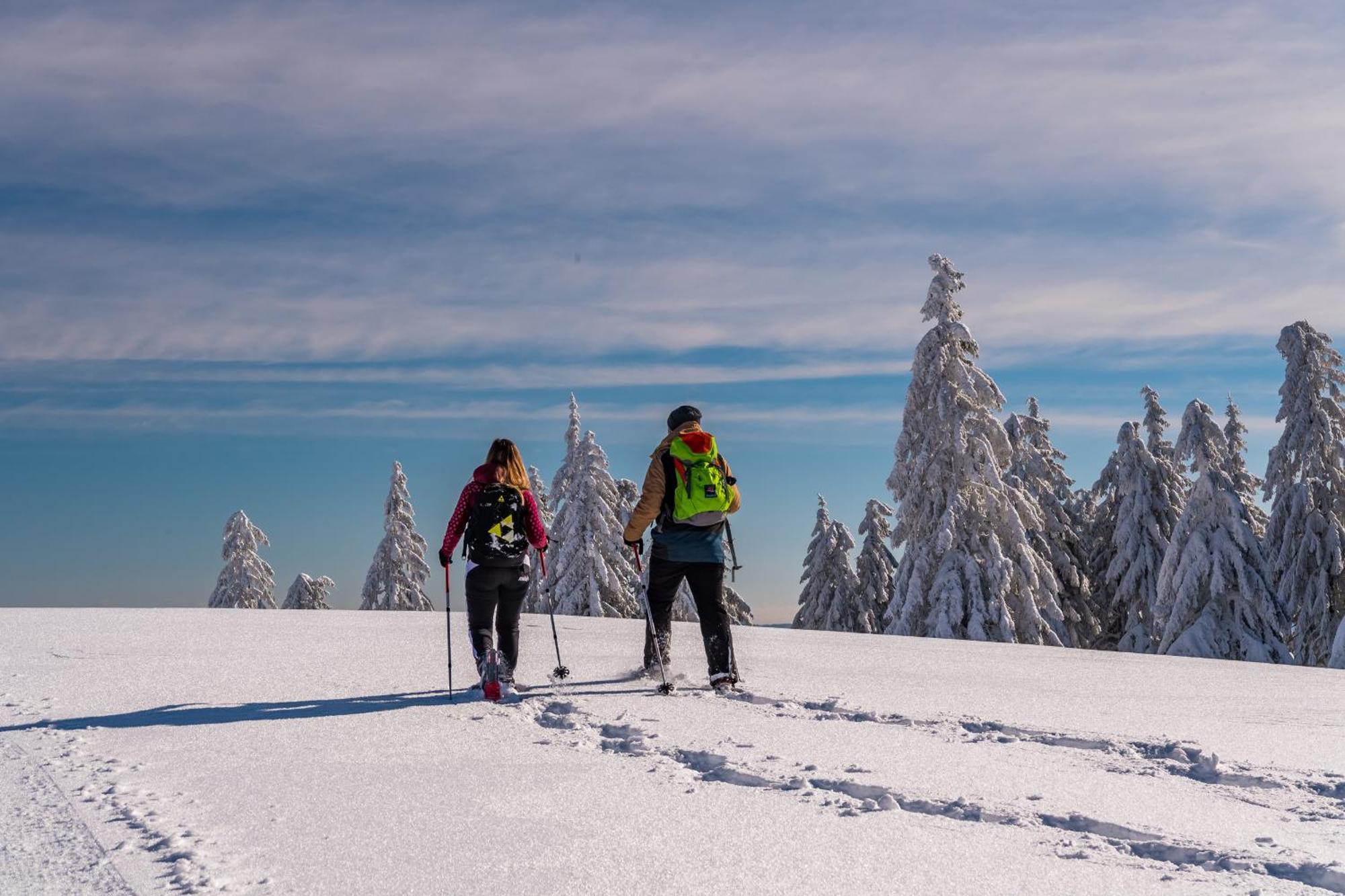 Schwarzwaldhorst Fewo 2 - Mit 4 Schlafzimmer - Todtnau, Liftverbund Feldberg Екстериор снимка
